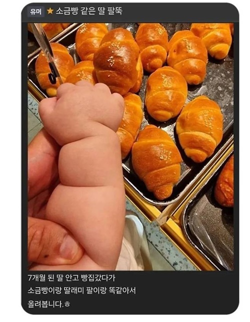 튼실하네