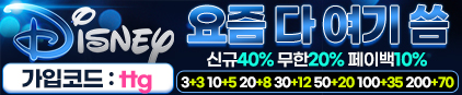 토스타 검증 다즈니벳