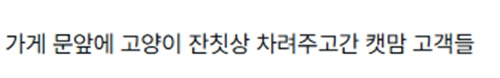 캣맘은 정신병이다