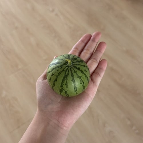 무화과인줄ㅎㅎ