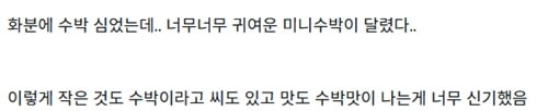 무화과인줄ㅎㅎ