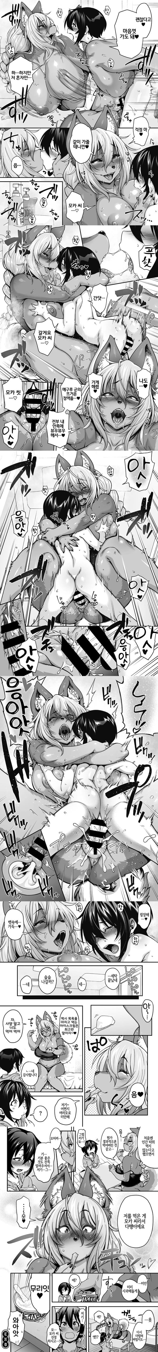 짐승길
