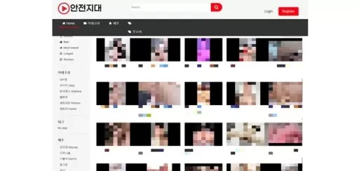 안전지대