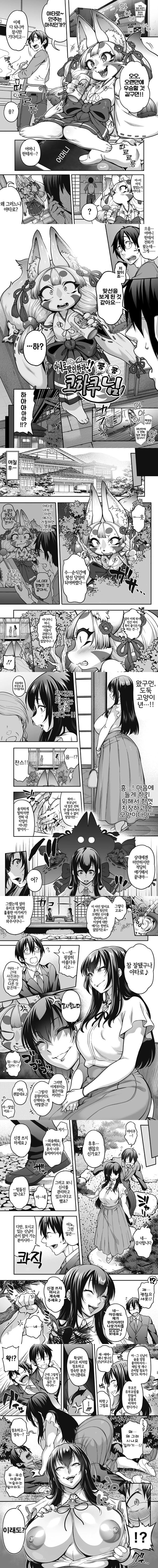 아내로 맞이라하 코하쿠님