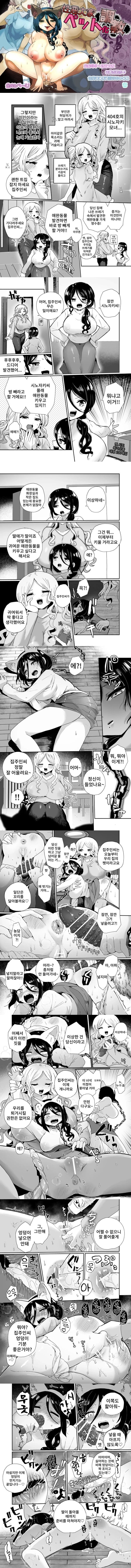 나쁜 집주인 애완동물화 조교