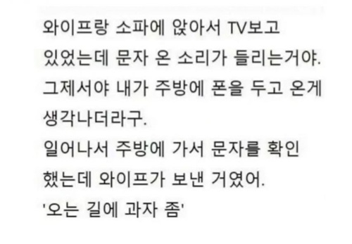 천재 와이프