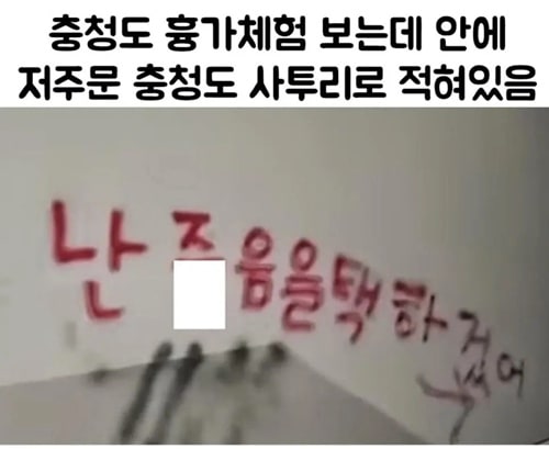 충청도식 저주문