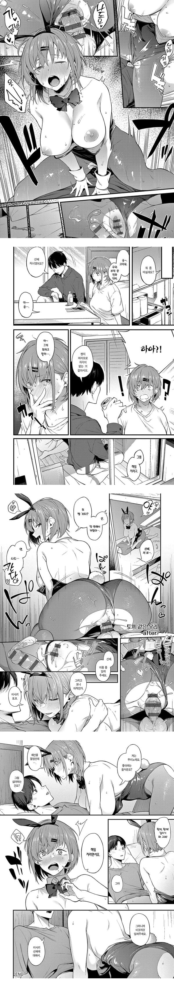 토끼 같은 우리